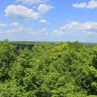 Overview of the forest at Copper Falls State Park, Wisconsin