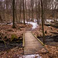 Landscape with bridge across the creek at Governor Dodge State Park, Wisconsin