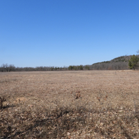 Clearing landscape at Quincy Bluff