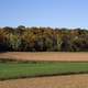 Farm and Autumn Treeline with fall foliage in Wisconsin