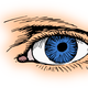 Blue Eye Vector Clipart