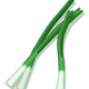 Green Onions Vector Clipart