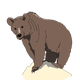 Grizzly Bear standing on rock vector clipart