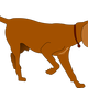 Hunting Dog Vector Clipart