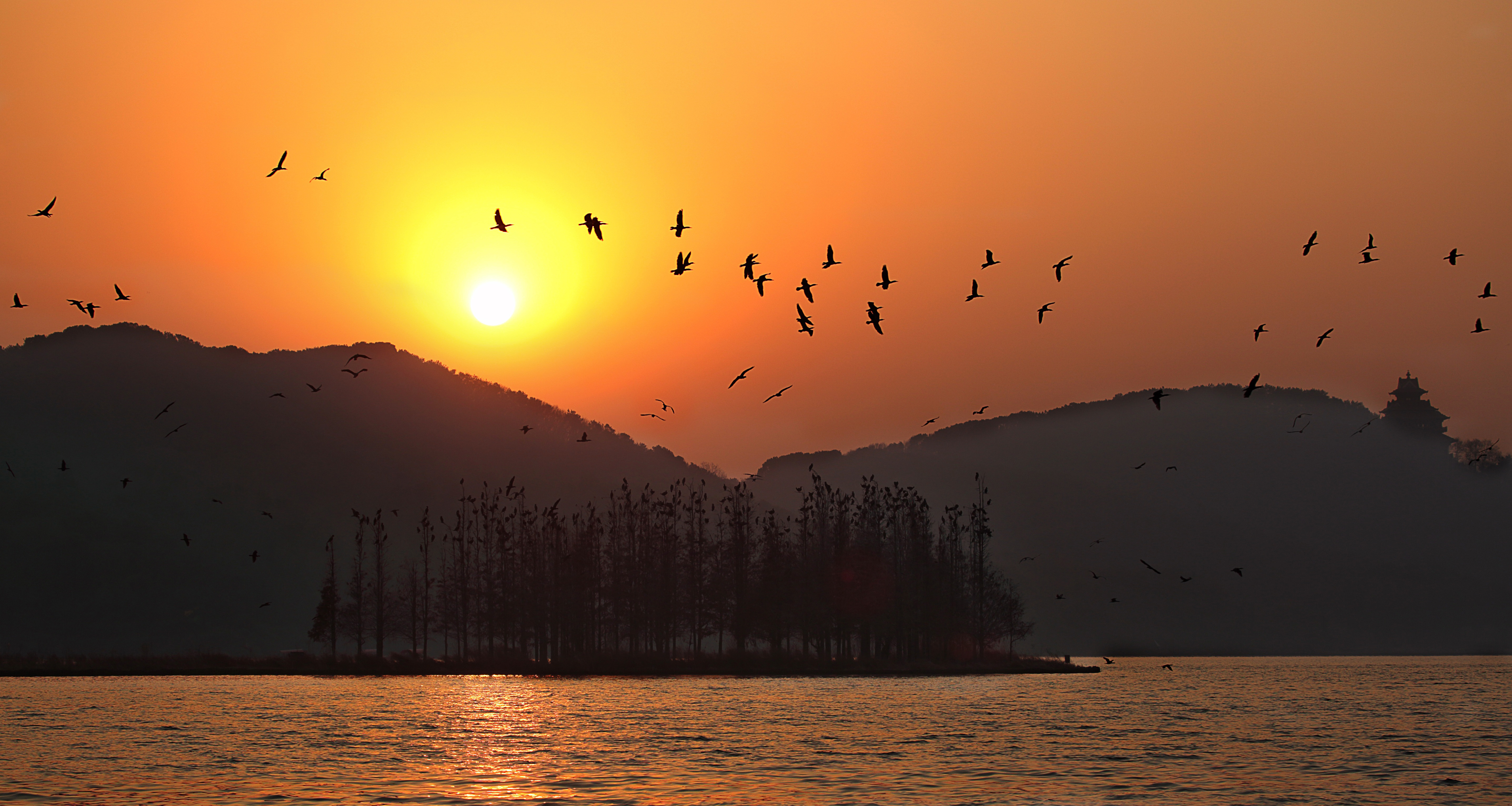 Birds flying over sunset over east lake image - Free stock photo - Public  Domain photo - CC0 Images
