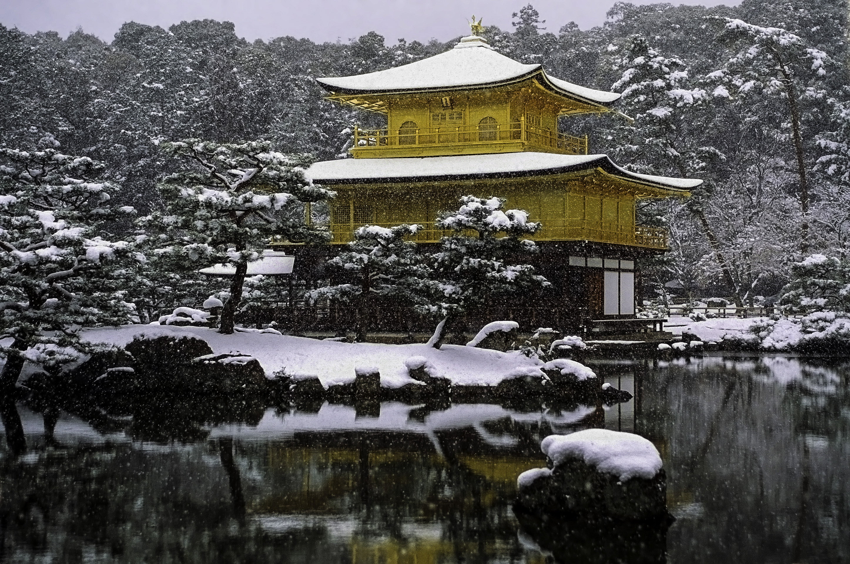 Kinkaku ji In The Winter In Snow In Kyoto Japan Image Free Stock 