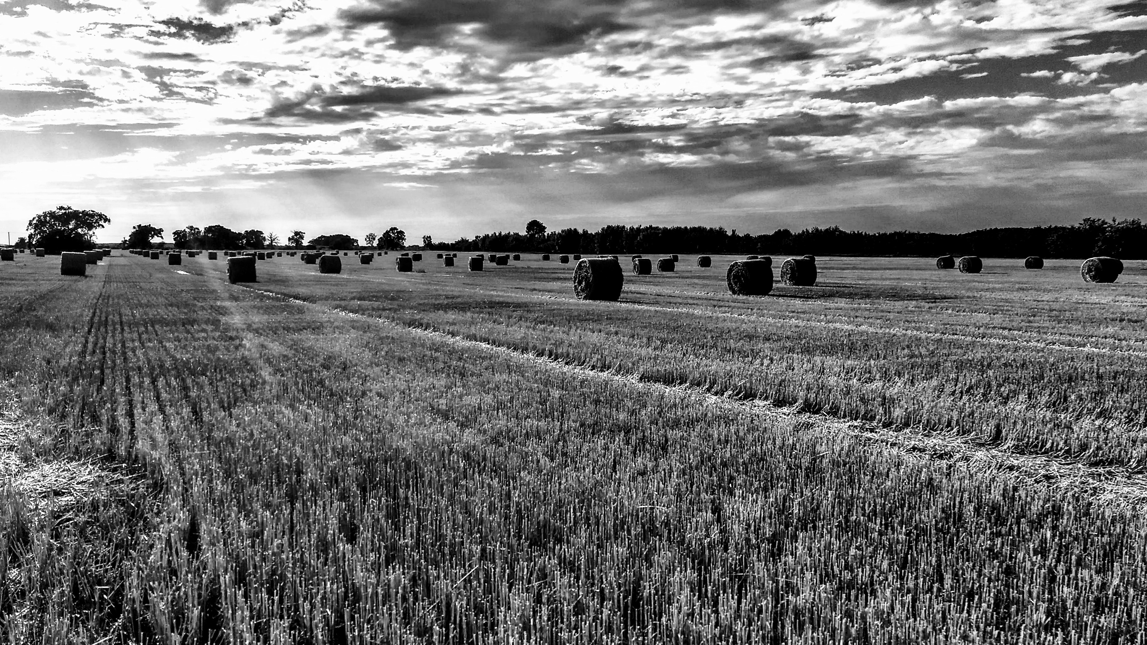 farm images black and white