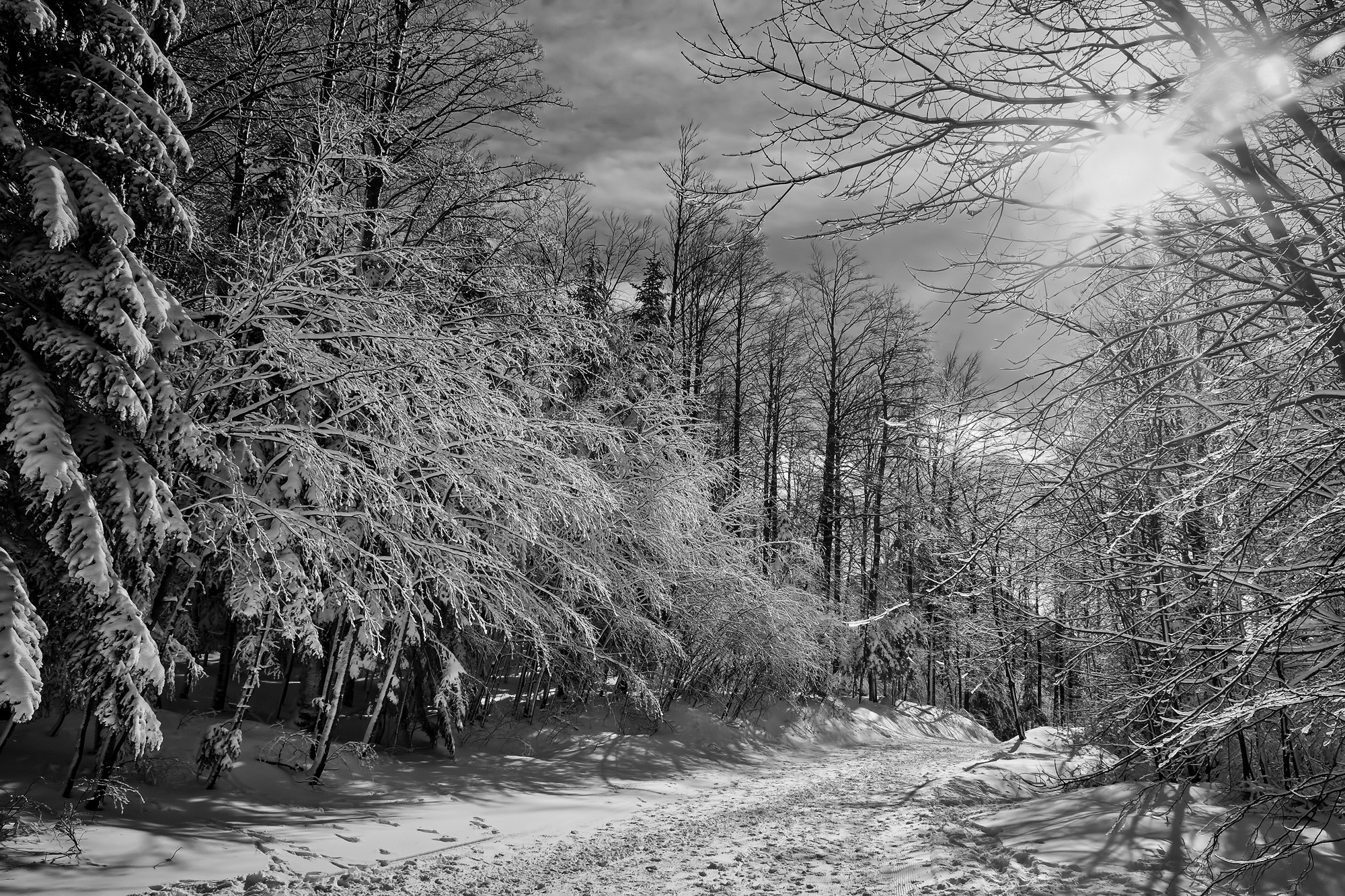 black and white snow photography