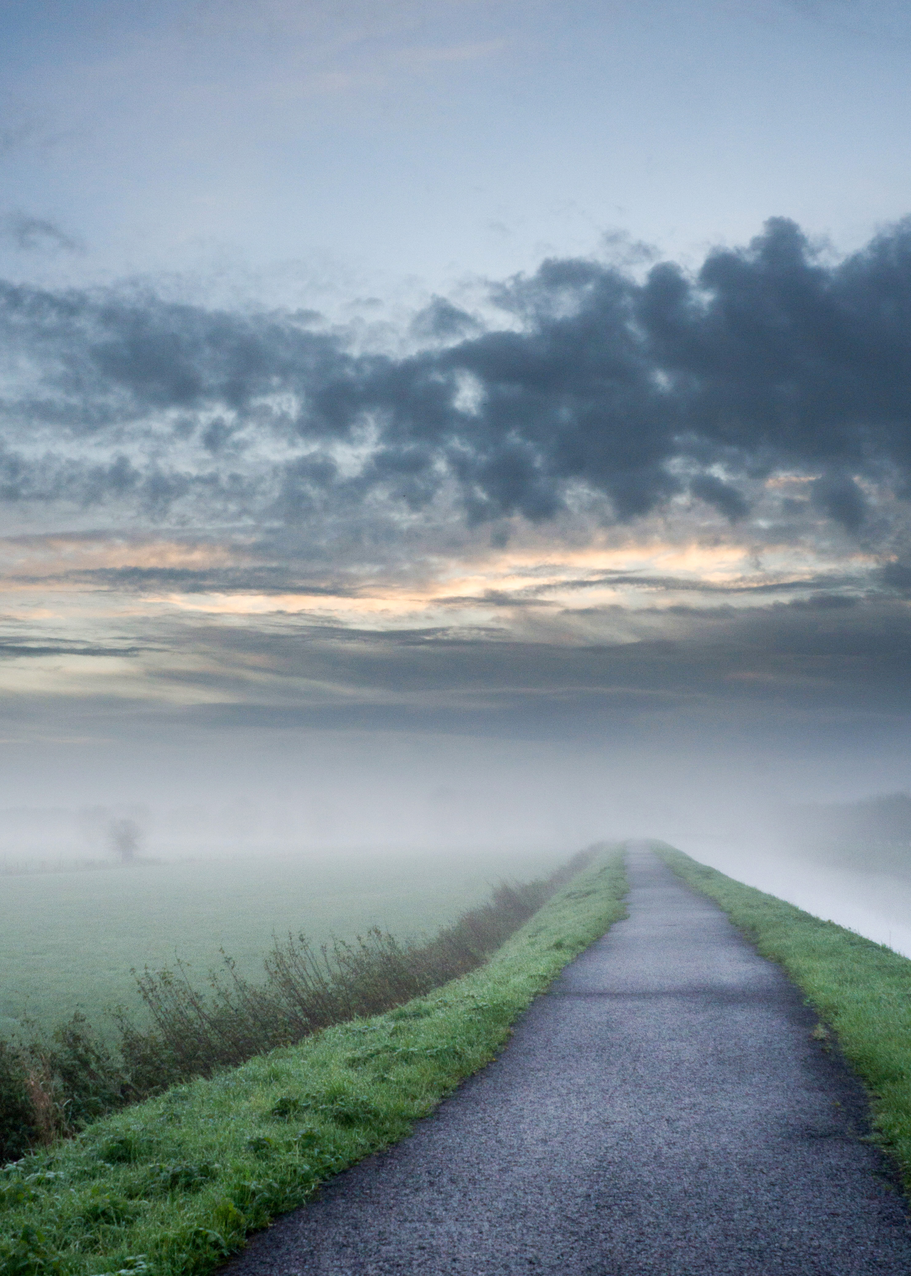 Foggy Path landscape image - Free stock photo - Public Domain photo - CC0 Images