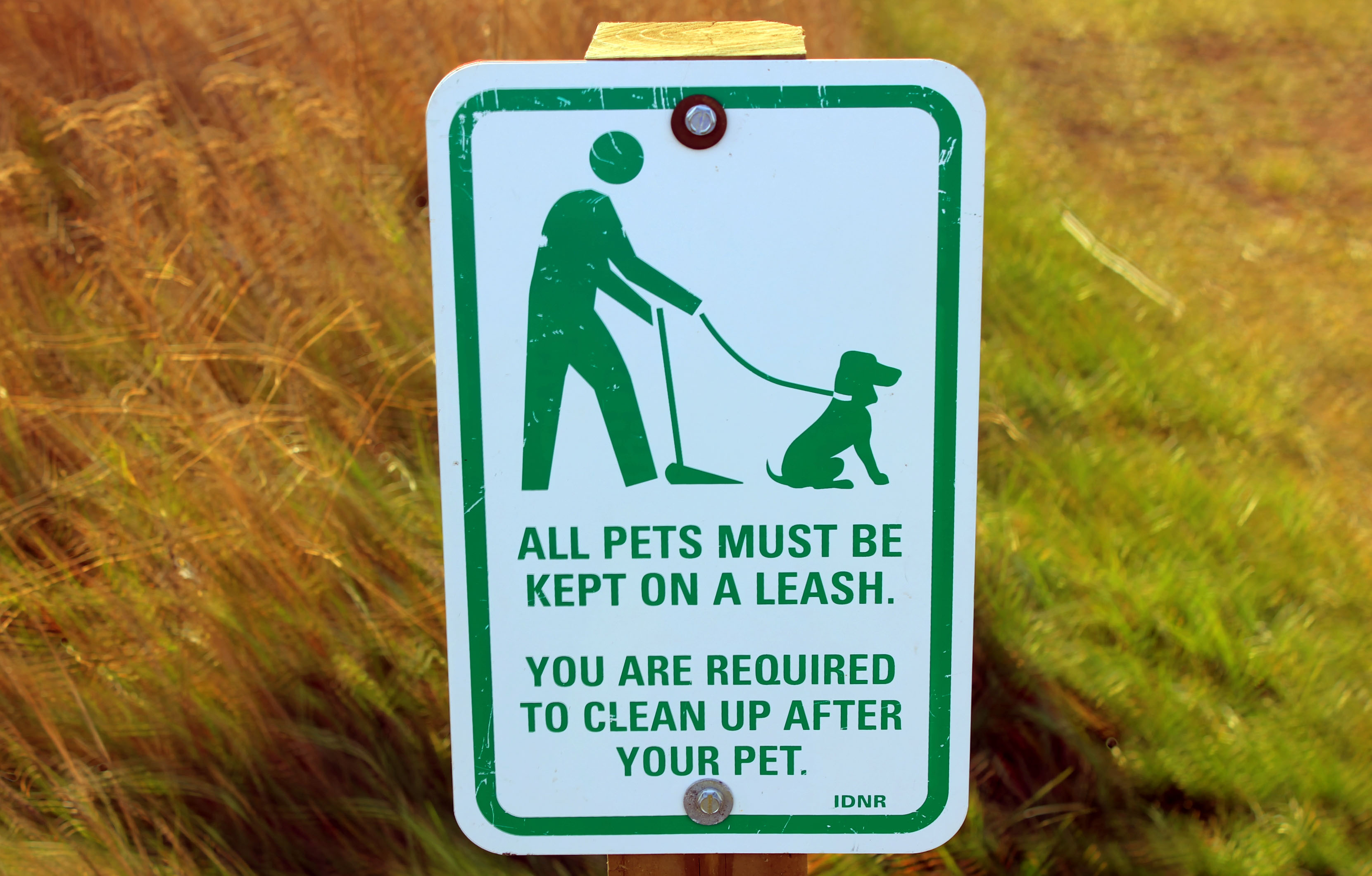 Pet Sign image - Free stock photo - Public Domain photo - CC0 Images