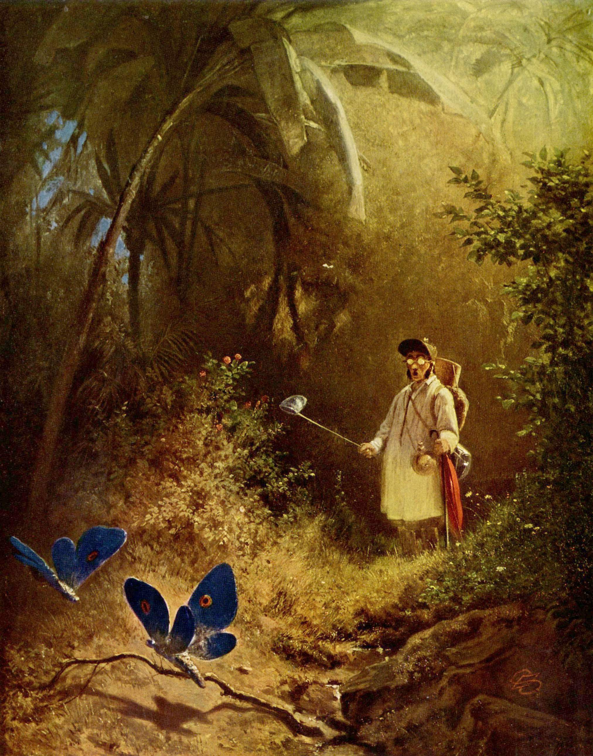 Butterfly Hunter by Julie Bozza