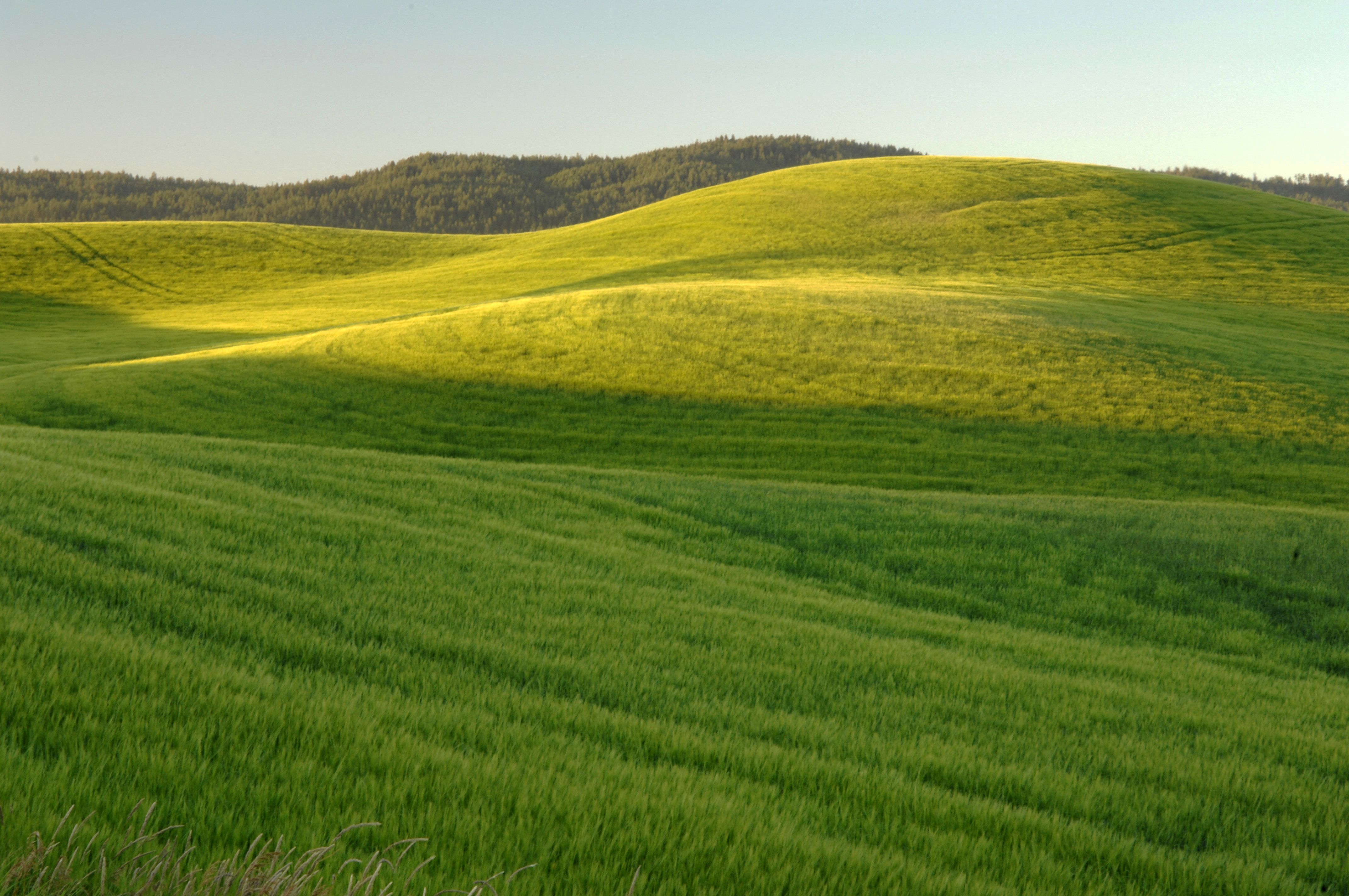 Green, Grassy hills landscape image - Free stock photo - Public Domain