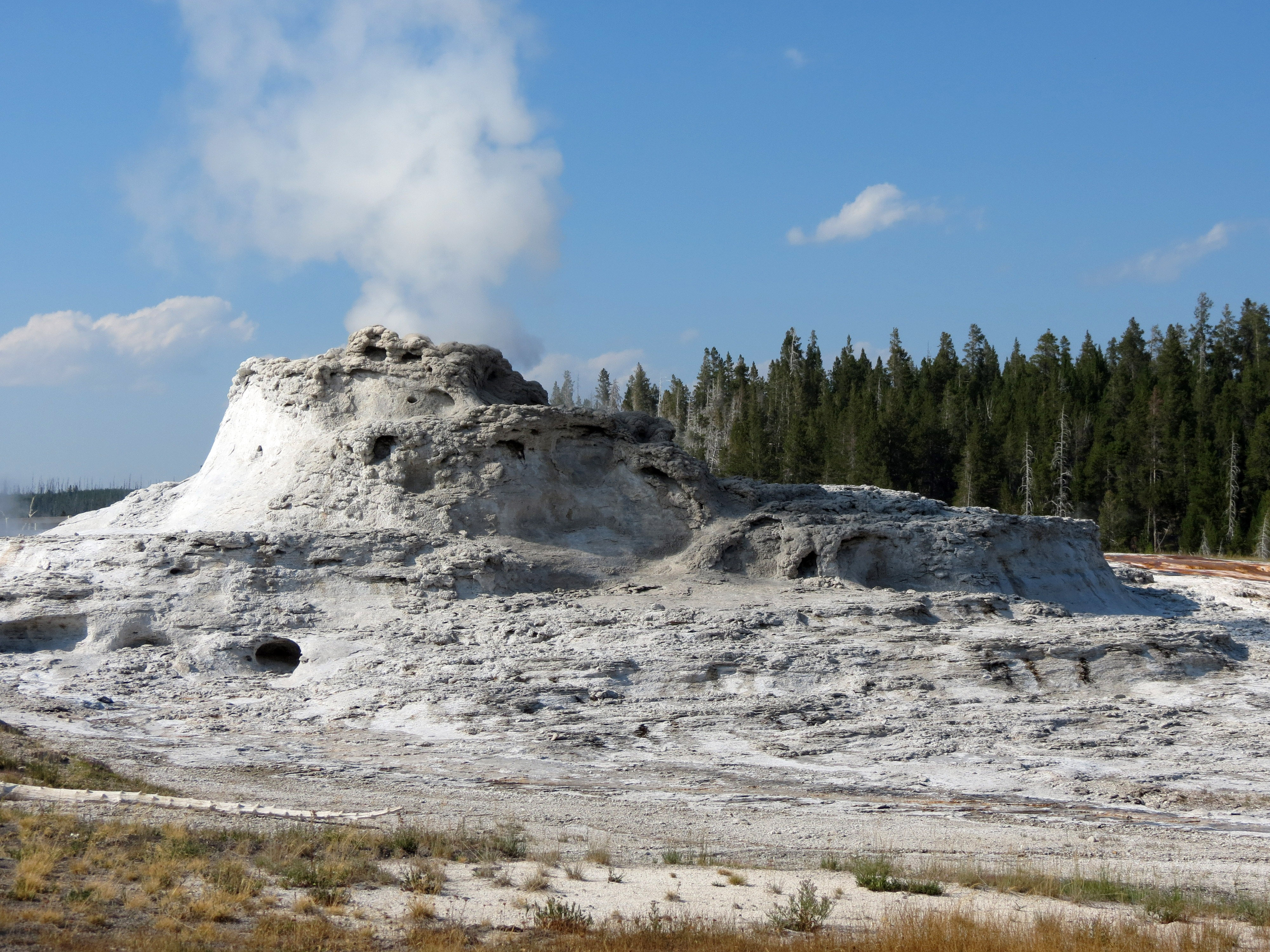Thermal Features In Yellowstone National Park Wyoming Image Free