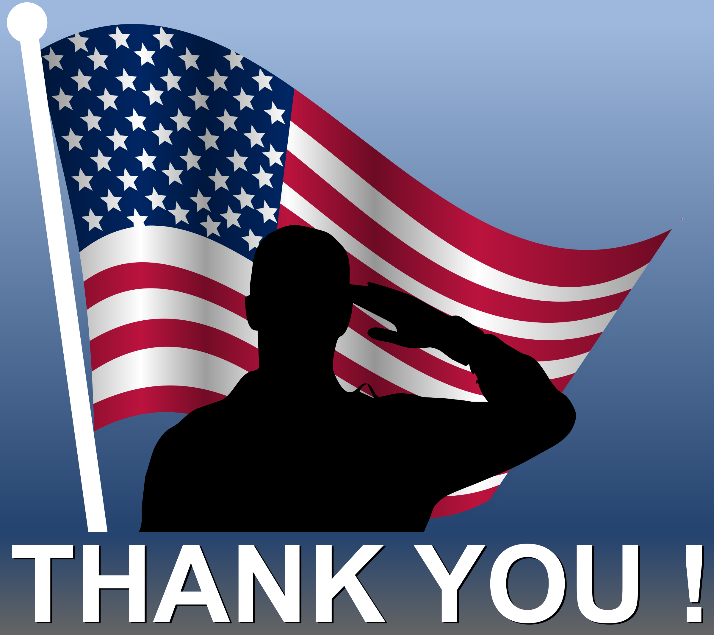 Usa memorial day background Royalty Free Vector Image