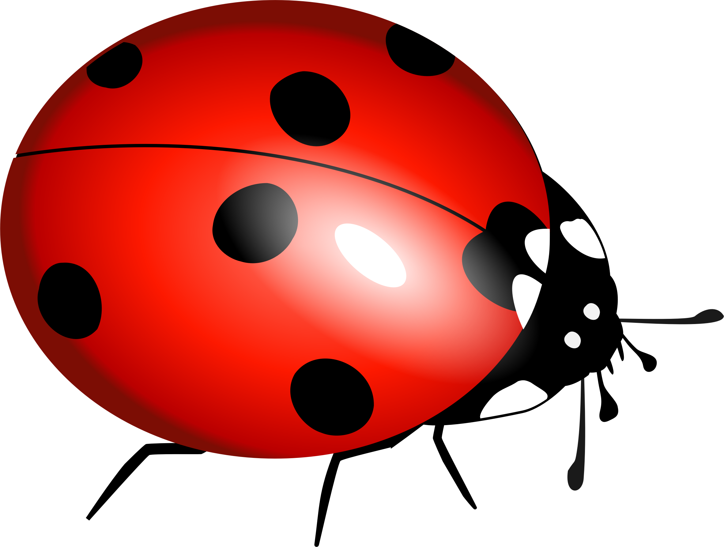 Free Free 135 Free Ladybug Svg SVG PNG EPS DXF File