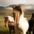 Icelandic Horses image - Free stock photo - Public Domain photo - CC0 ...