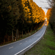 Long Road through the woods image - Free stock photo - Public Domain ...