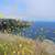 Beach of Santa Cruz Island, Channel Islands National Park, California ...