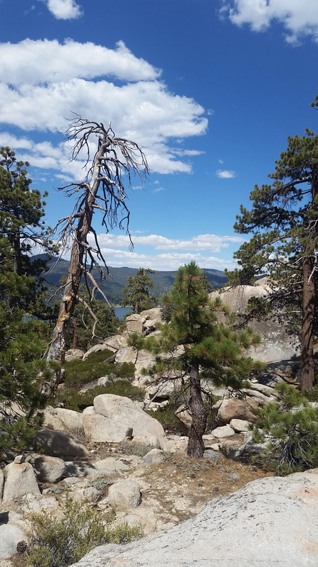 Rocky landscape on the trail in big bear image - Free stock photo ...