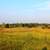 Prairie Landscape at Chain O Lakes State Park, Illinois image - Free ...