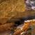 Free Stock Photo of Light Shining through at Maquoketa Caves State Park ...