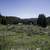 Gravel Road and town of Elkhorn, Montana image - Free stock photo ...