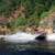 Bonneville Dam and people fishing image - Free stock photo - Public ...