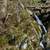 Bottom of the Upper Falls at Dark Hollow Falls in Shenandoah image ...