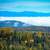 Trees and Forest landscape with clouds and mountains in Northeast ...