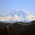 Tacoma with a view of Mount Rainier in Washington image - Free stock ...