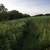 Country Road going by Cross Plains State Park image - Free stock photo ...