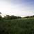 Country Road going by Cross Plains State Park image - Free stock photo ...