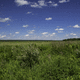 Grassland and wetlands landscape with blue sky image - Free stock photo ...