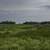 Path through the tall grass at Horicon Marsh image - Free stock photo ...