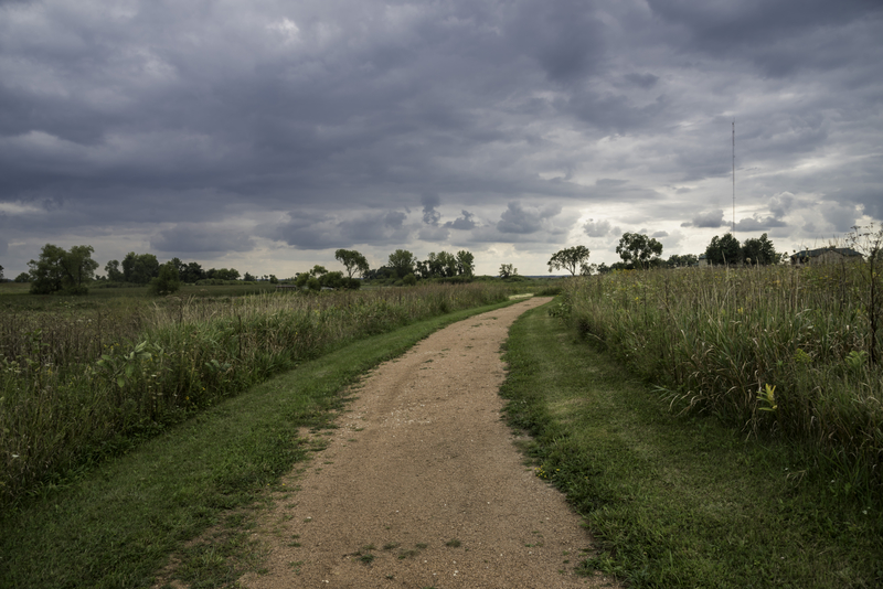 Path Through The Tall Grass At Horicon Marsh Image Free Stock Photo