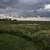 Old Marsh Road landscape under the sky image - Free stock photo ...