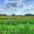 Landscape of the Marsh at Horicon National Wildlife Refuge image - Free ...