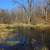 The Swamp at Kettle Moraine South, Wisconsin image - Free stock photo ...