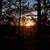 Trees and sky to the Horizon at Levis Mound, Wisconsin image - Free ...