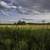 Blue Skies over the Marsh Landscape image - Free stock photo - Public ...