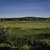 Person walking through the grass and flowers at Cherokee Marsh image ...