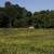 Person walking through the grass and flowers at Cherokee Marsh image ...