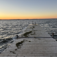 Dusk at John Nolan Park with seaweed from a pier