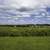 Town under the sky across the tall grass image - Free stock photo ...