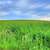 Boats on the Horizon in Madison, Wisconsin image - Free stock photo ...