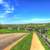 Farm silos and barn on the Military Ridge State Trail image - Free ...