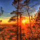 wisconsin-roche-a-cri-state-park-sun-setting-behind-trees_w80_h80_cw80_ch80_thumb.gif