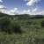 Bushes, Grassland, and hills landscape at Hogback Prairie image - Free ...