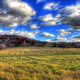 Sky and Landscape in Southern Wisconsin image - Free stock photo ...