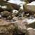 Rocks in the Gorge at Parfreys Glen, Wisconsin image - Free stock photo ...